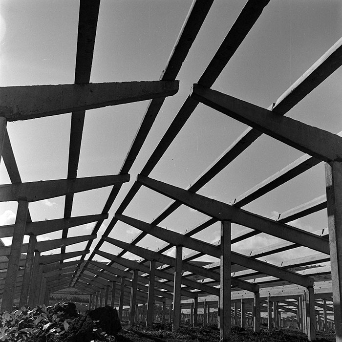 minerva_1972_c4_c3r5_023