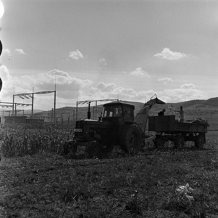 minerva_1972_c4_c3r5_024