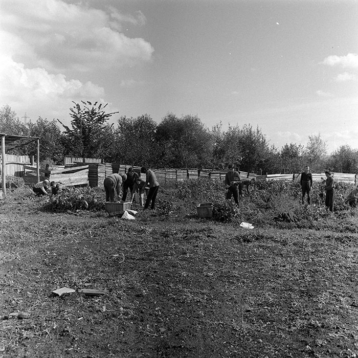 minerva_1972_c4_c3r5_025