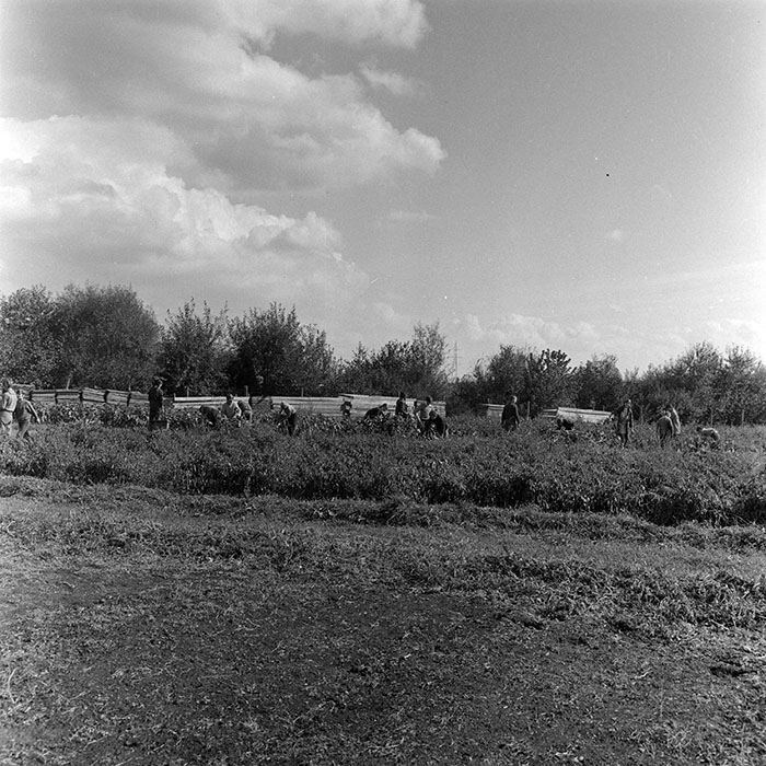 minerva_1972_c4_c3r5_026