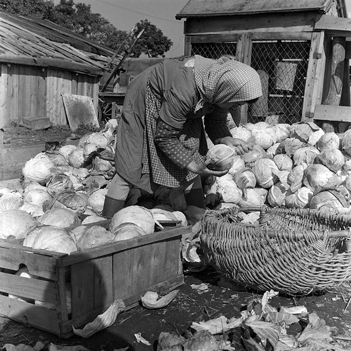 minerva_1972_c4_c3r5_031