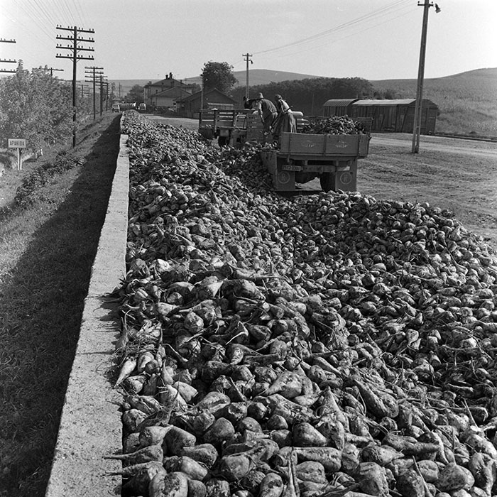 minerva_1972_c4_c3r5_032