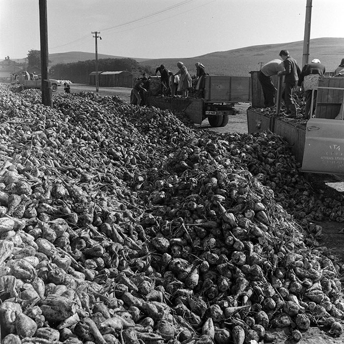 minerva_1972_c4_c3r5_033