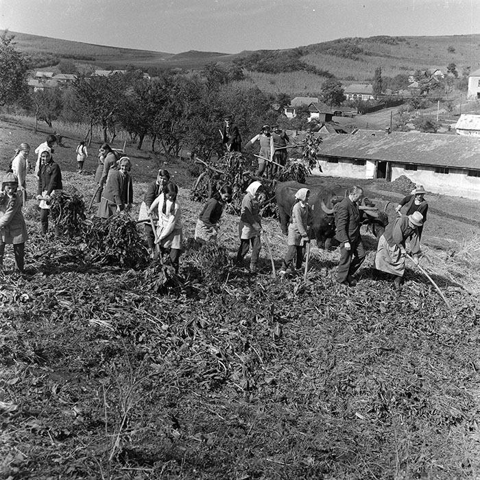 minerva_1972_c4_c3r5_035