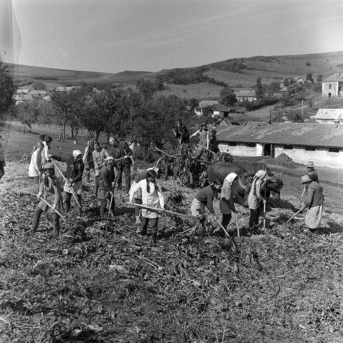 minerva_1972_c4_c3r5_036