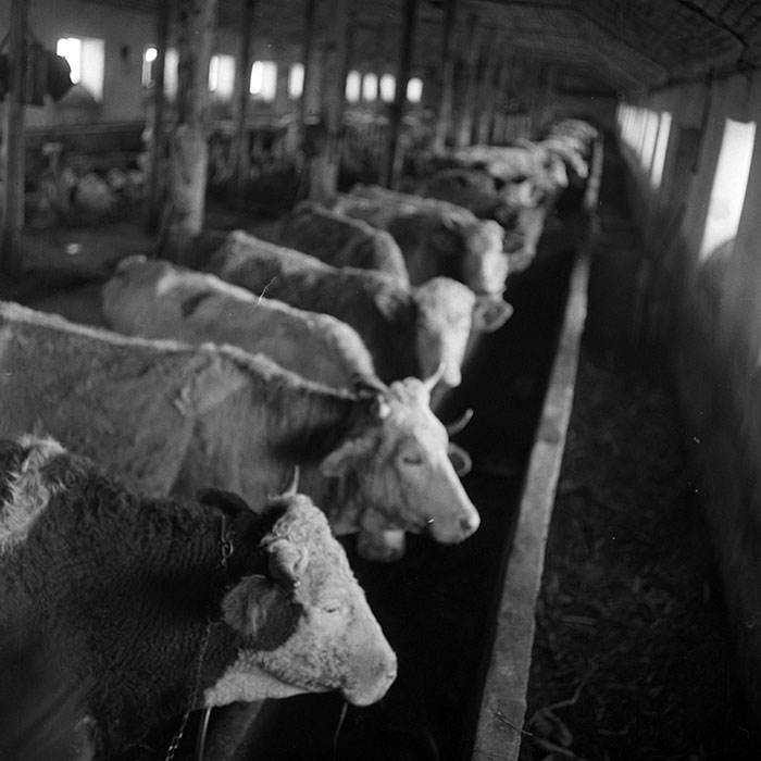 minerva_1972_c4_c4r3_014