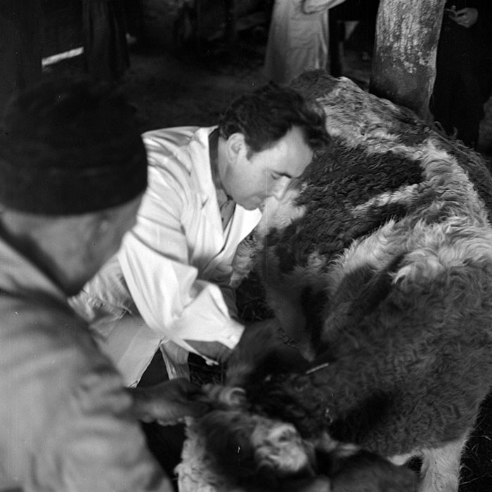 minerva_1972_c4_c4r3_015