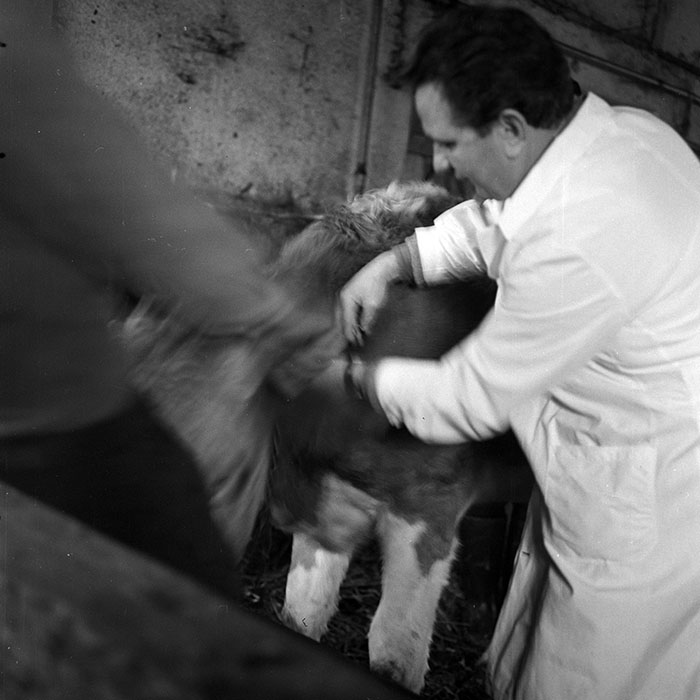 minerva_1972_c4_c4r3_016