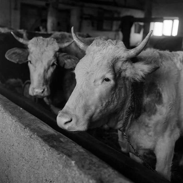 minerva_1972_c4_c4r3_017