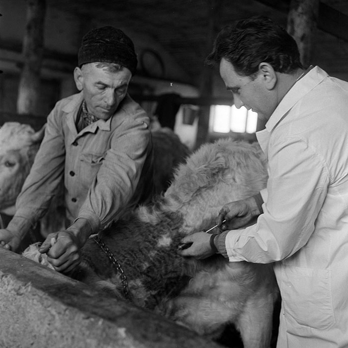 minerva_1972_c4_c4r3_018