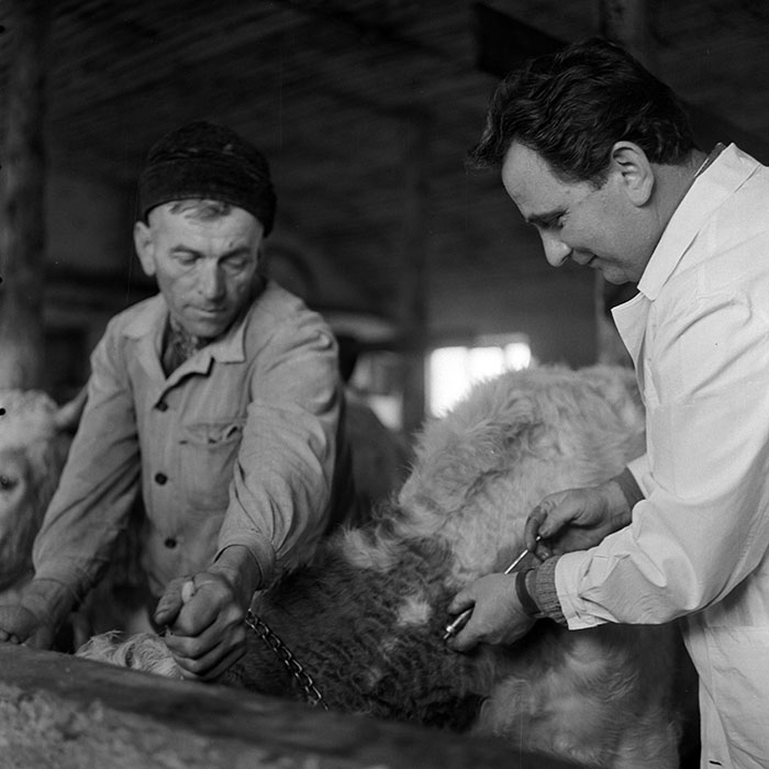 minerva_1972_c4_c4r3_019