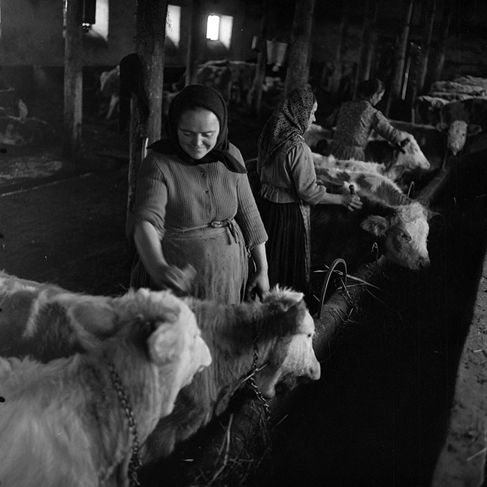 minerva_1972_c4_c4r3_021