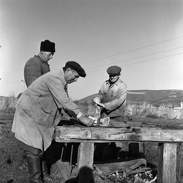 minerva_1972_c4_c4r3_022