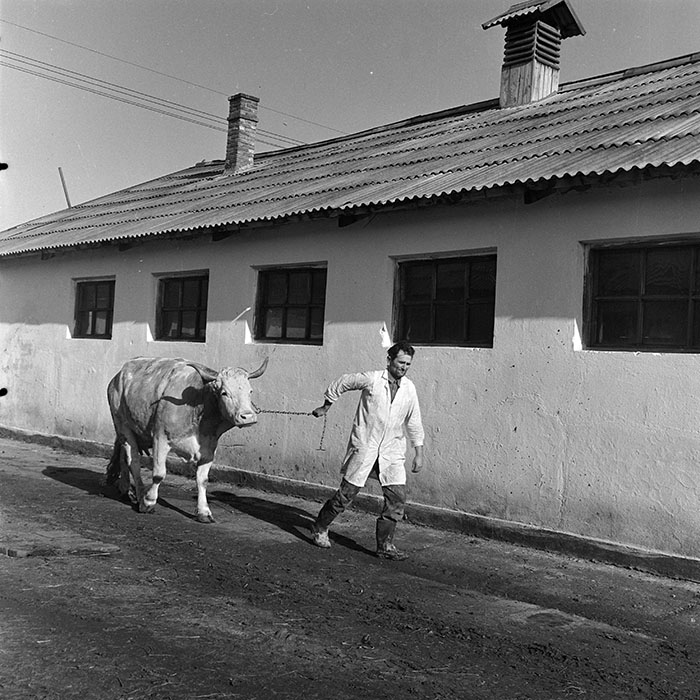 minerva_1972_c4_c4r3_023