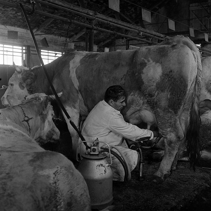 minerva_1972_c4_c4r3_024