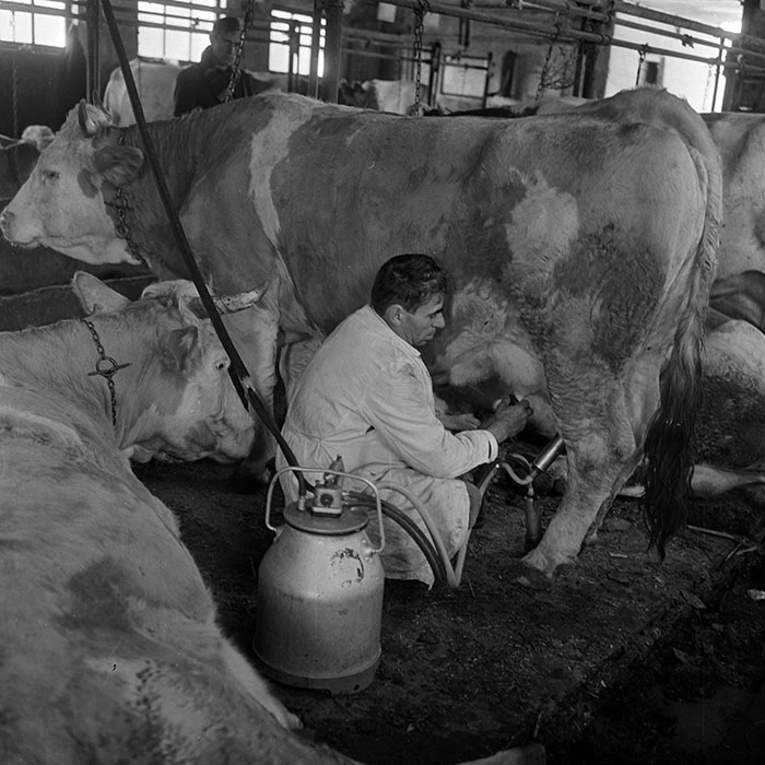 minerva_1972_c4_c4r3_025