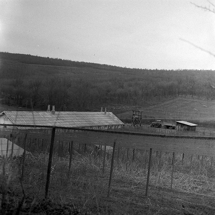 minerva_1972_c4_c5r4_014