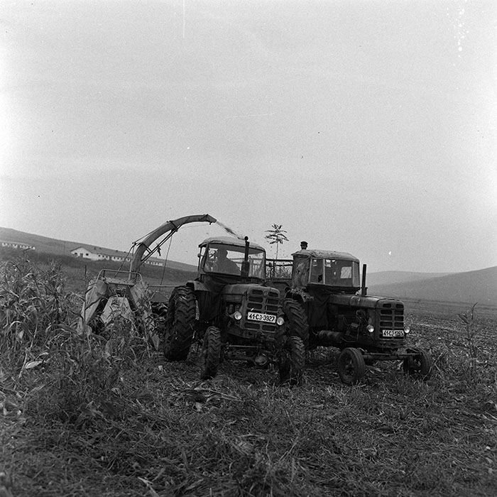 minerva_1972_c4_c6r1_002