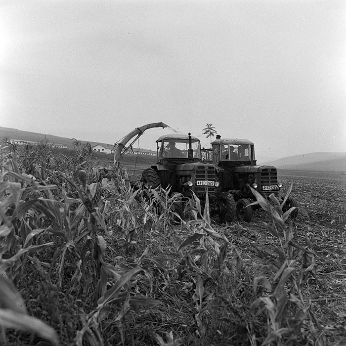 minerva_1972_c4_c6r1_003