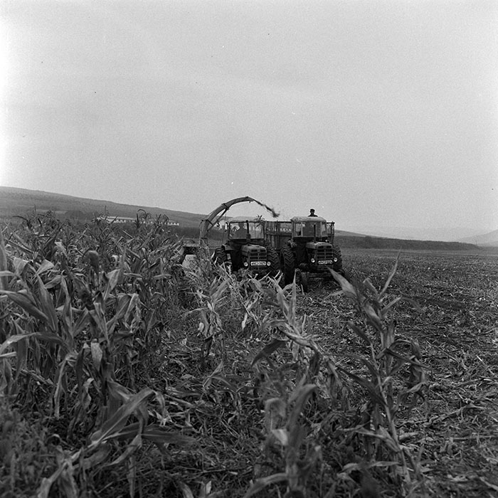 minerva_1972_c4_c6r1_004