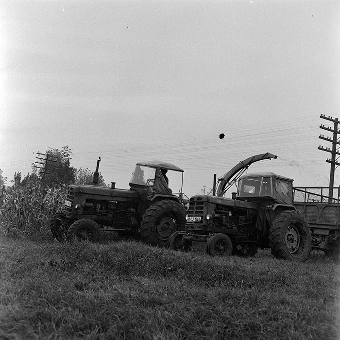 minerva_1972_c4_c6r1_006