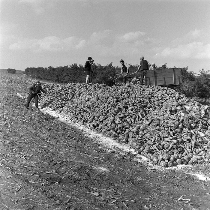 minerva_1972_c4_c6r1_010