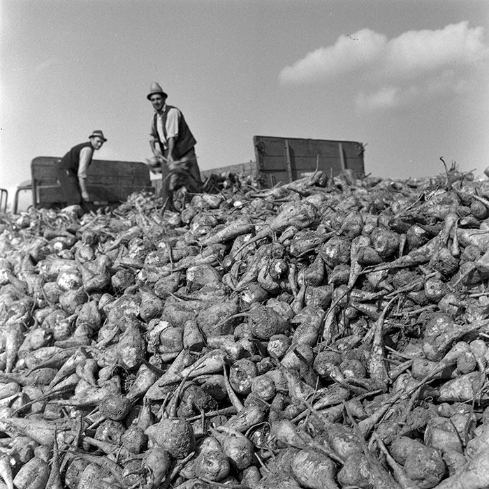 minerva_1972_c4_c6r1_012