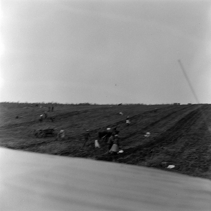 minerva_1972_c4_c6r1_015