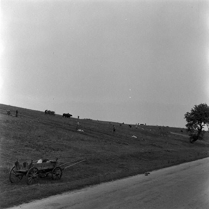 minerva_1972_c4_c6r1_016