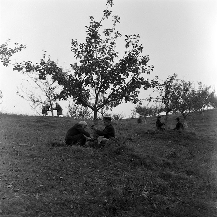 minerva_1972_c4_c6r1_017