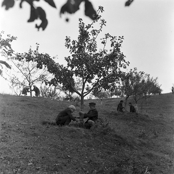 minerva_1972_c4_c6r1_018