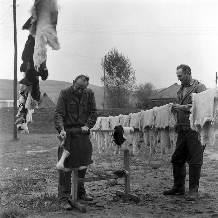 minerva_1972_c4_c6r1_021