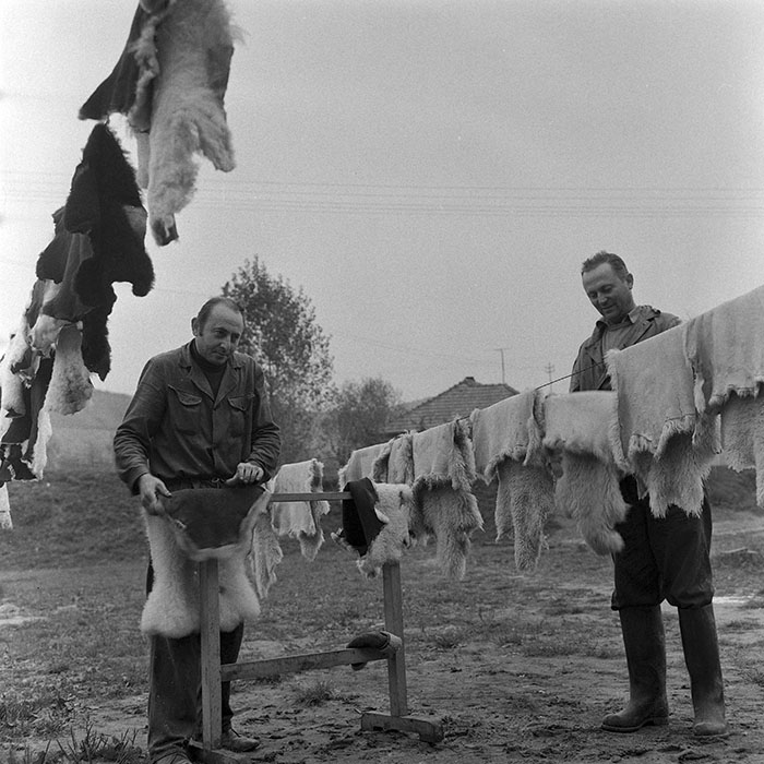 minerva_1972_c4_c6r1_022