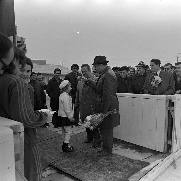 minerva_1972_c4_c6r3_007