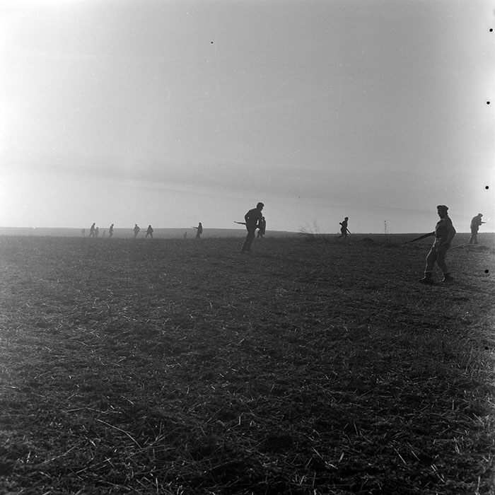 minerva_1972_c4_c6r4_018