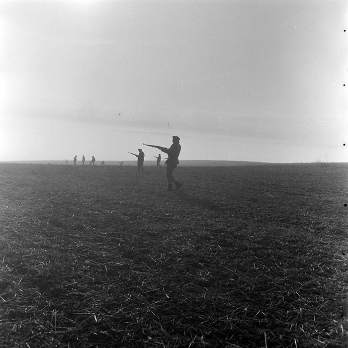 minerva_1972_c4_c6r4_019