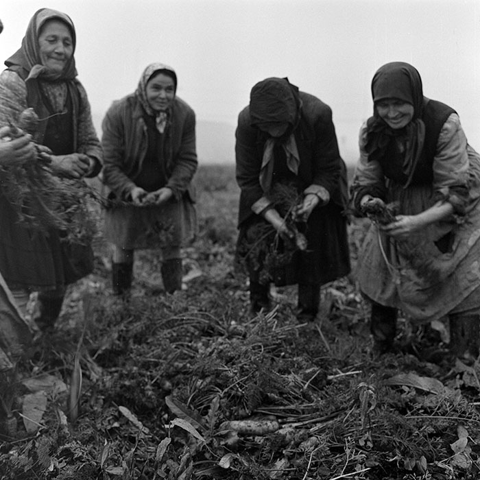 minerva_1972_c4_c7r3_014