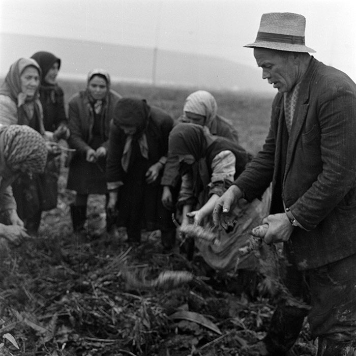 minerva_1972_c4_c7r3_015