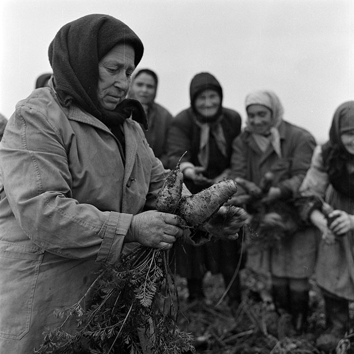 minerva_1972_c4_c7r3_016