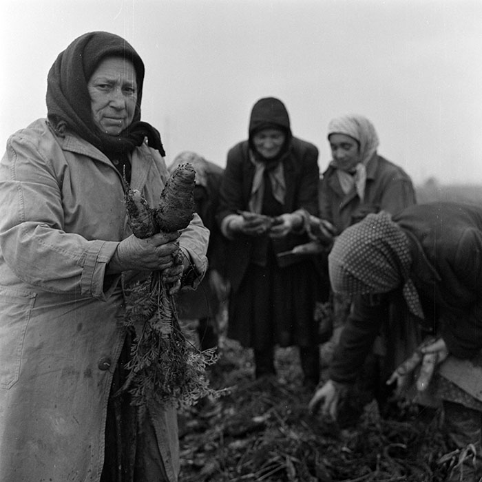 minerva_1972_c4_c7r3_017