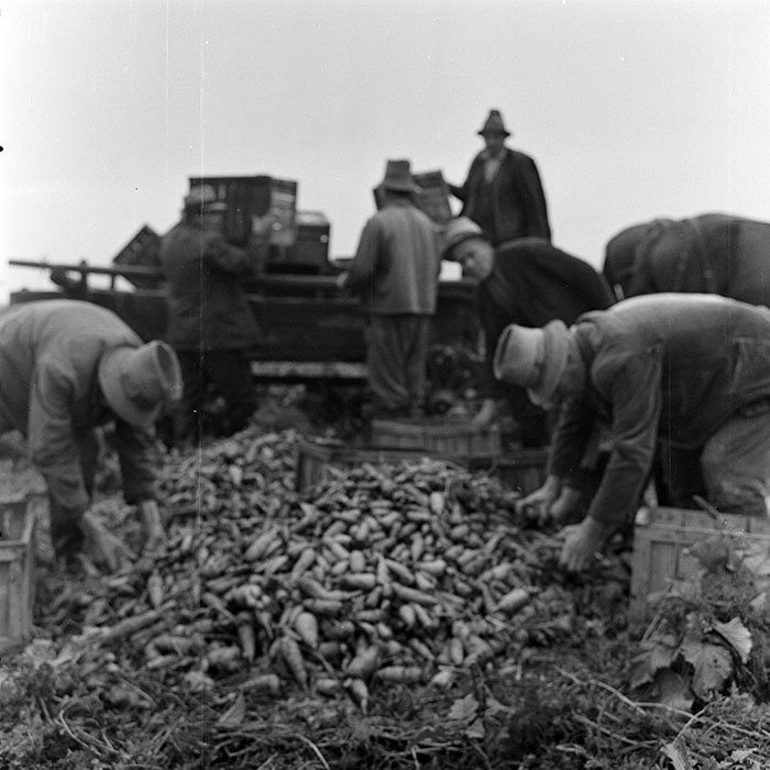 minerva_1972_c4_c7r3_018