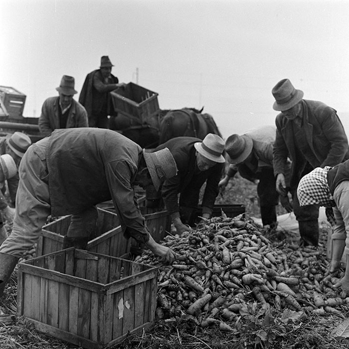 minerva_1972_c4_c7r3_019