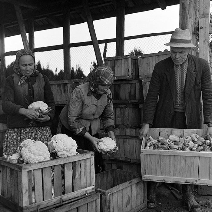 minerva_1972_c4_c7r3_021