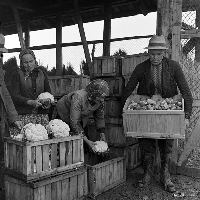 minerva_1972_c4_c7r3_022