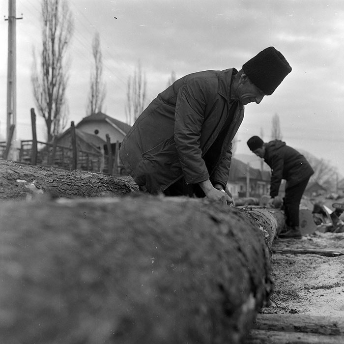 minerva_1972_c4_c7r4_013