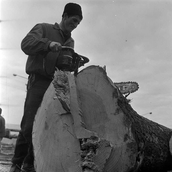 minerva_1972_c4_c7r4_017