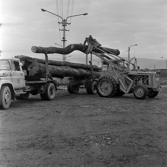 minerva_1972_c4_c7r4_019