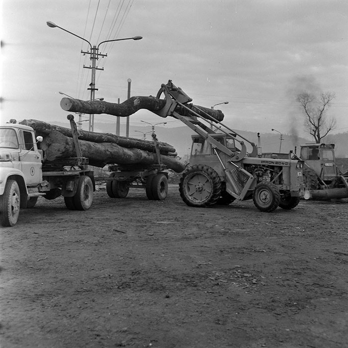 minerva_1972_c4_c7r4_020