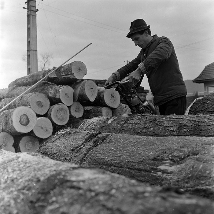 minerva_1972_c4_c7r4_033