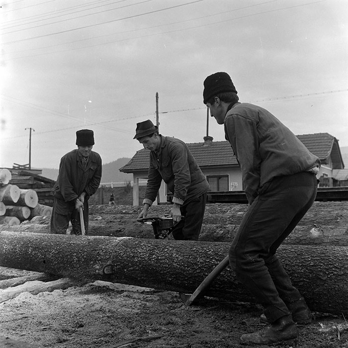 minerva_1972_c4_c7r4_034